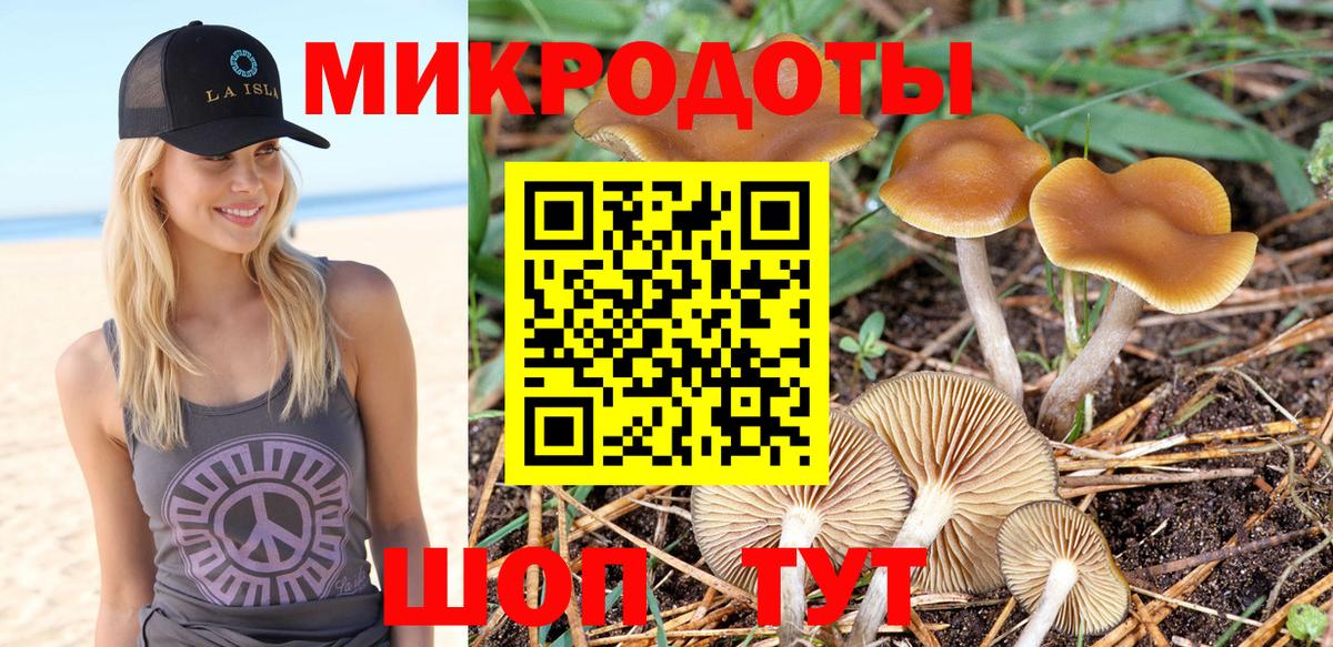 Псилоцибиновые грибы GOLDEN TEACHER Ивантеевка